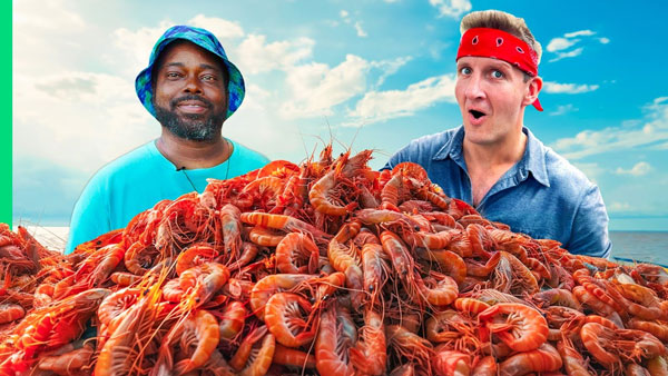 Catching 10,000 Shrimp for Shrimp & Grits!!